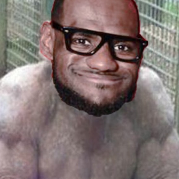 Meet your Posher, Benjamin - Picture 1 of 1